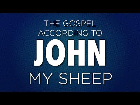 My Sheep - JOHN 10:22-31