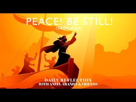 January 30, 2021 - Peace! Be Still! - A Reflection on Mark 4:35-41