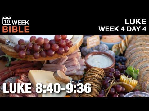 Feeding the 5000 | Luke 8:40-9:36 | Week 4 Day 4 Study of Luke
