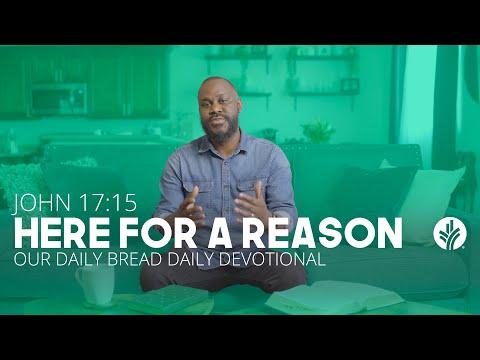 Here for a Reason | John 17:15 | Our Daily Bread Video Devotional
