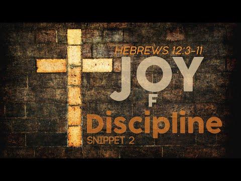 Joy In Discipline Hebrews 12:3-11 [Snippet 2]