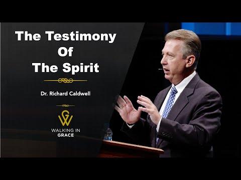The Testimony of The Spirit | Luke 12:10-12