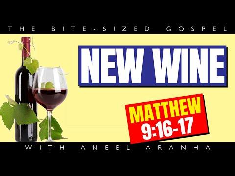 The Bite-Sized Gospel with Aneel Aranha — Matthew 9:16-17