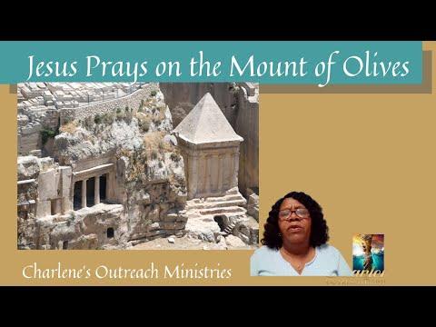 Jesus Prays on the Mount of Olives. Luke 22:39-46. Thursday's, Daily Bible Study.