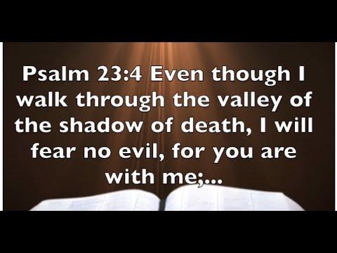 Psalm 23:4 -  Even Though I Walk