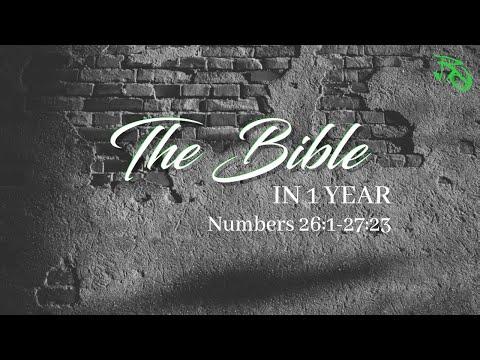 The Bible in 1 Year - EP 65 - Numbers 26:1-27:23
