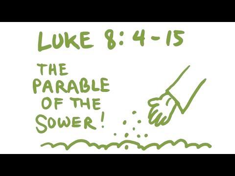 The Parable of the Sower Bible Animation (Luke 8:4-15)