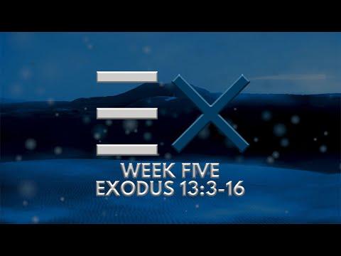 Exodus 13:3-16 | Bible Study with Elder TC McIntosh