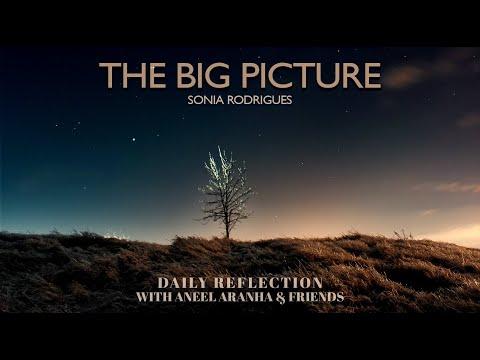 January 19, 2021 - The Big Picture - A Reflection on Mark 2:23-28