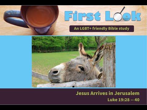 First Look Bible Study - Luke 19:28 - 40