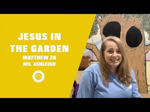 Jesus in the Garden (Matthew 26:36-50) | Younger Kids Lesson | Ms. Ashleigh