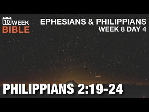 Timothy | Philippians 2:19-24 | Week 8 Day 4 Study of Philippians