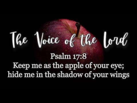 Psalm 17 :8 The Voice of the Lord   March 30, 2021 by Pastor Teck Uy