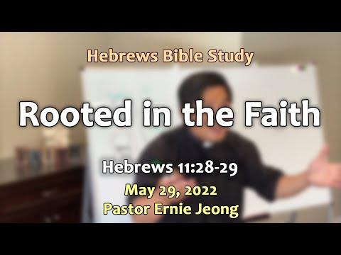 Hebrews 11:28-29 ~ Rooted in the Faith