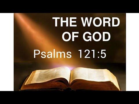 PSALMS 121:5 || திருப்பாடல்கள் 121:5 || भजन संहिता 121:5