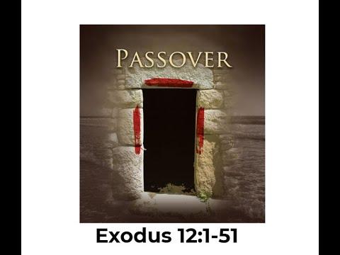 The Passover: Exodus 12: 1-51 Bible Study