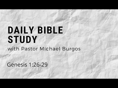 Daily Bible Study: Genesis 1:26-29