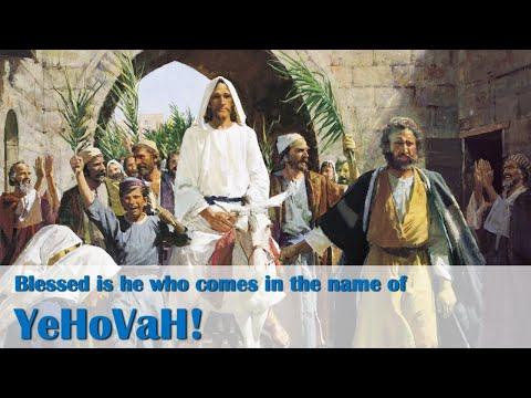 Psalm 118:24-29 — Blessed is He Who Comes in the Name of YeHoVaH!