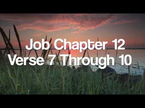 Job 12:7-10