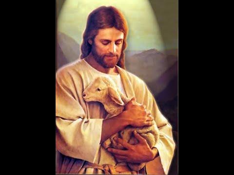 Jesus, the Lamb of God - John 1:29-51