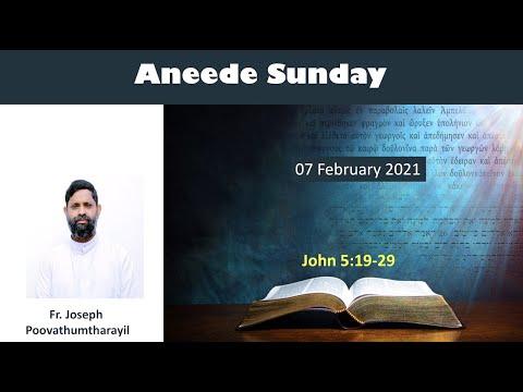 Aneede Sunday | John 5: 19-29 | Fr. Joseph Poovathumtharayil | 7 Feb 2021
