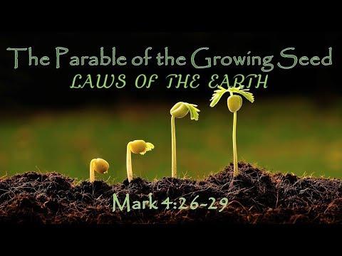 Series 2: Everything to Know about LAWS OF EARTH | CONCEPTS OF A SEED| Laws of Sowing: Luke 8:4-18