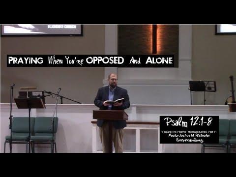 "Praying When You're Opposed And Alone" (Psalm 12:1-8) by Joshua Wallnofer