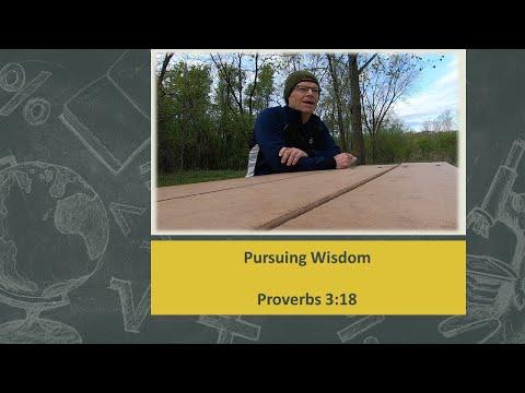 Pursuing Wisdom: Proverbs 3:18