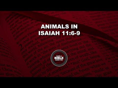 Request To Explain Isaiah 11:6-9