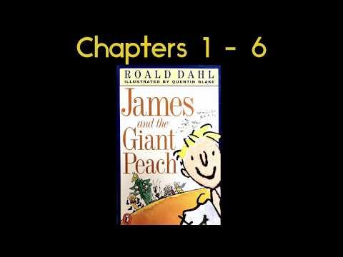 James and the Giant Peach by Roald Dahl Read Aloud Chapters 1-6