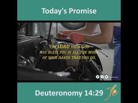 Today's Promise (Deuteronomy 14:29) English