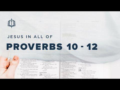 HOW TO READ THE BOOK OF PROVERBS | Bible Study | Proverbs 10-12