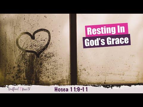 Day 49 | Resting in God&#39;s Grace [Hosea 11:9-11]