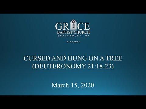 CURSED AND HANGED ON A TREE (DEUTERONOMY 21:18-23)