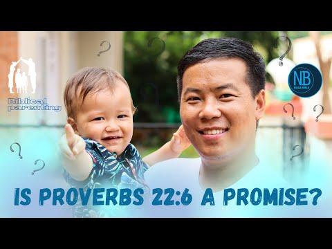 Rightly Interpreting Proverbs 22:6 (with Luke)