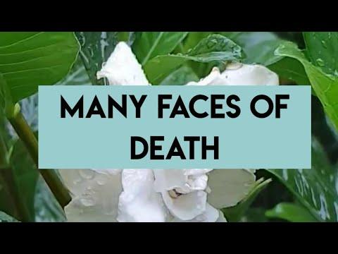 The MANY FACES OF DEATH! (Psalm 31:14-15). #death
