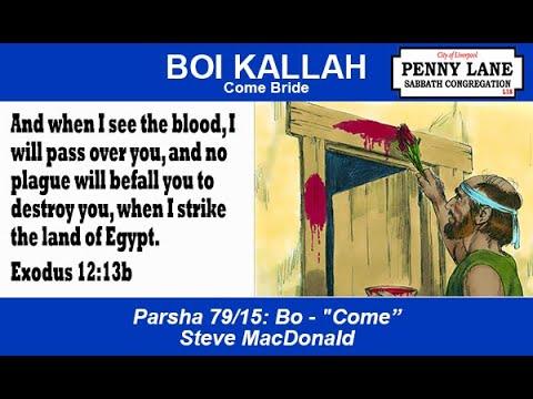 Boi Kallah (Bo "Come" Exodus 10:1-13:6)