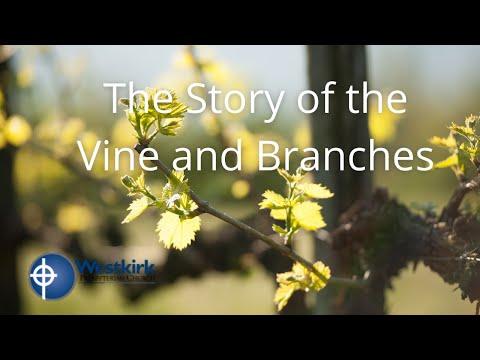 The Story of the Vine and Branches -- John 15:1, 4, 5