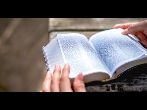 Home Bible Study - Adoption in the Bible 3: Deuteronomy 24:17-22 (Wednesday, 29 April, 2020)