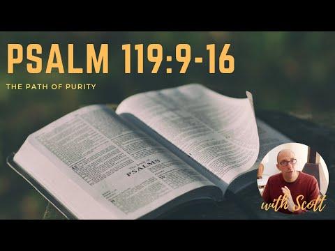 Psalm 119:9-16: The Path of Purity.