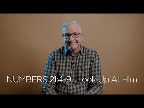 Numbers 21:4-9 | Look Up At Him