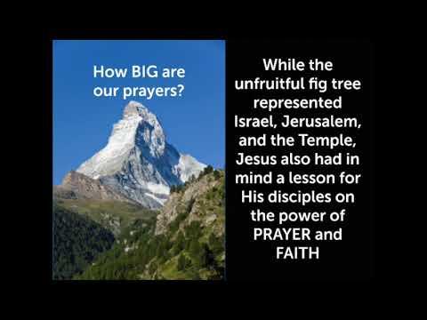 Jesus curses a fig tree.  Bible text: Mark 11:12-25