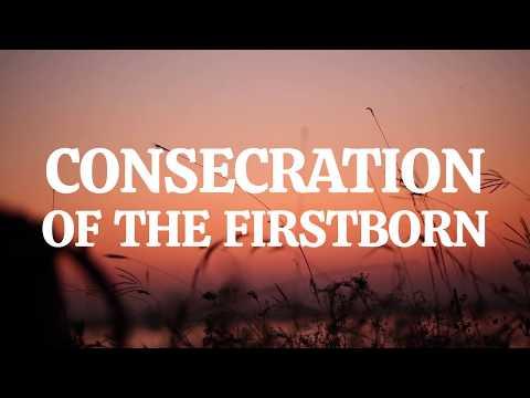 Exodus 13:1 - 16: Consecration of the Firstborn | Bible Stories