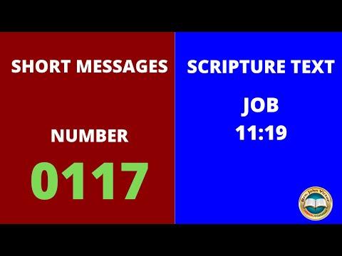 SHORT MESSAGE (0117) ON JOB 11:19