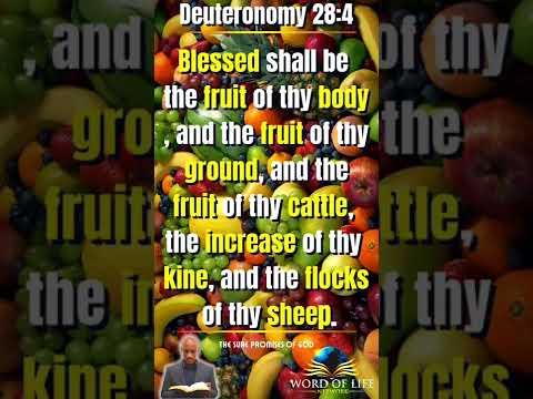 The Sure Promises Of God : Fruitfulness : Deuteronomy 28:4