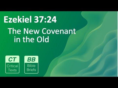 Bible Briefs #42 - Ezekiel 37:24