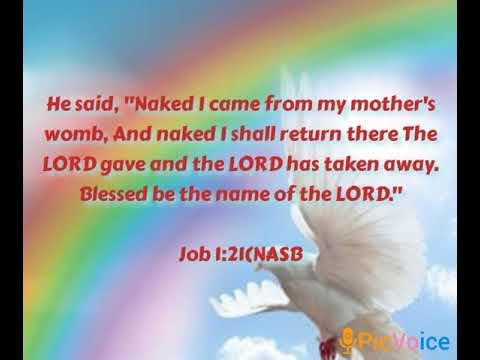 Daily Devotion Bible Verse  Job 1:21 August 28, 2020