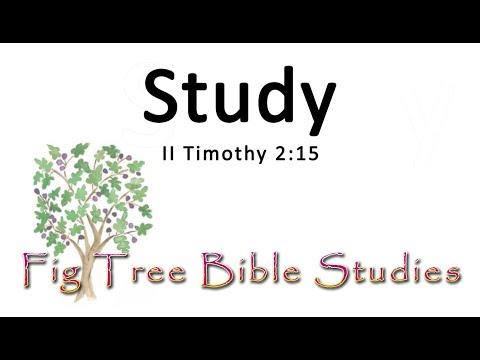 Study (2Timothy 2:15)
