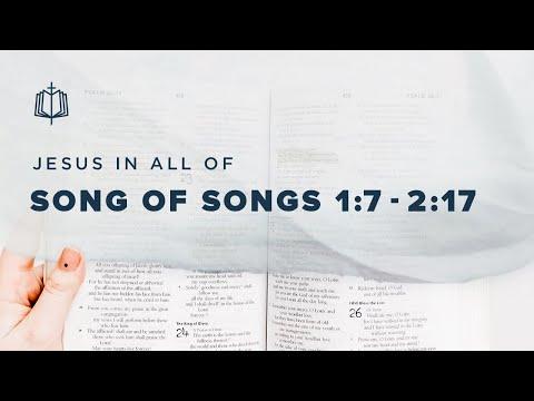 I AM MY BELOVED'S | Bible Study | Song of Songs 1:7-2:17