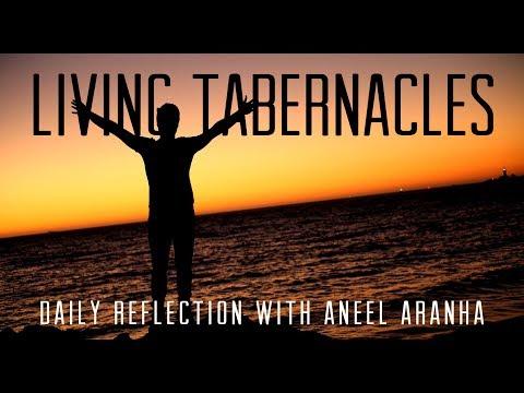 Daily Reflection With Aneel Aranha | John 2:13-22 | November 9, 2018